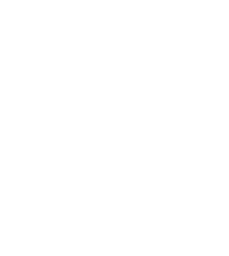 Diserpro - support h/24